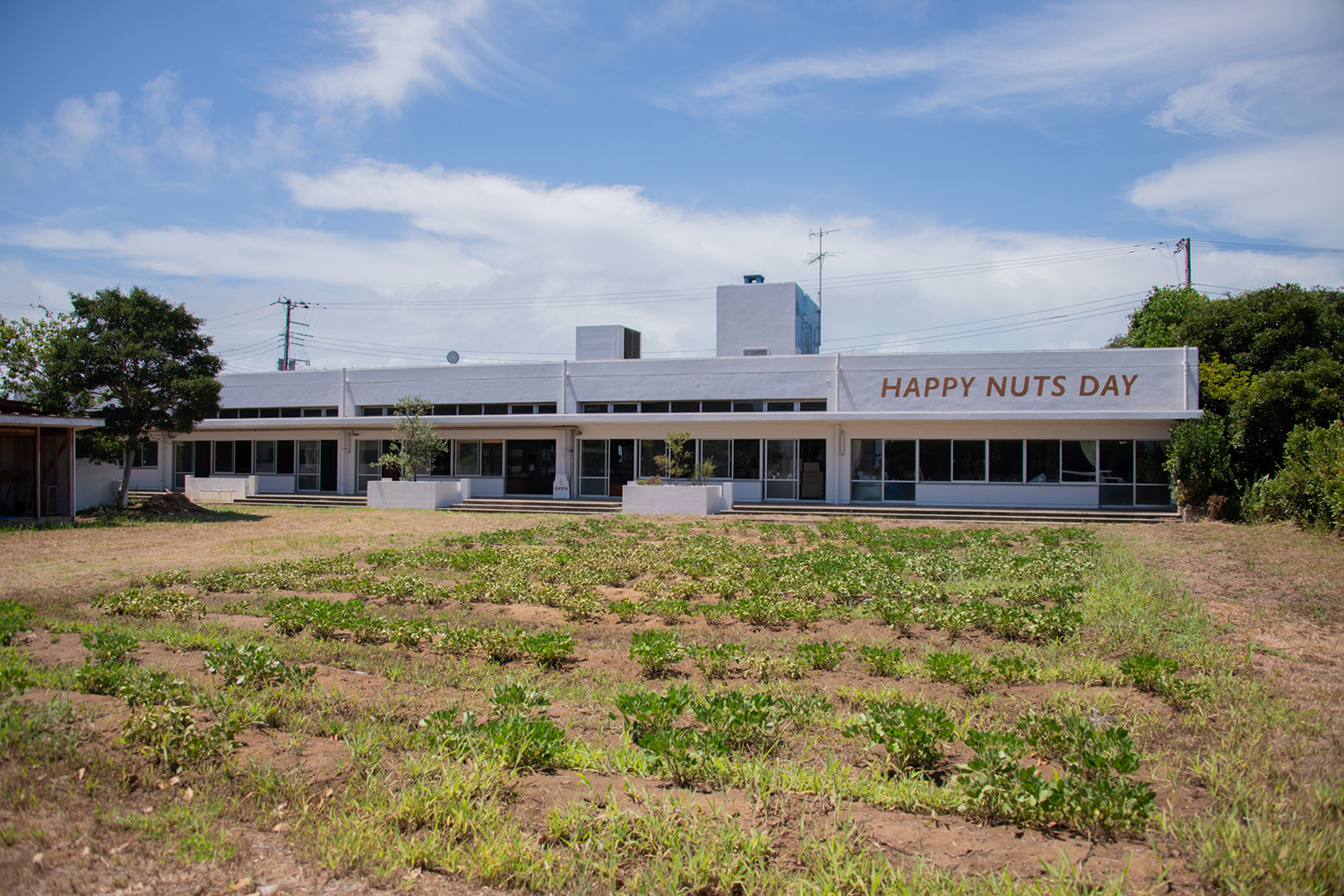 千葉県山武市の旧蓮沼幼稚園を活用したピーナッツバター工場 HAPPY NUTS DAY の外観と庭